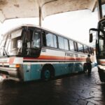 E-variant, Автобуси, оренда автобусів, транспорт в оренду, Україна