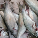 E-variant, Вибір корисних продуктів харчування, Україна.