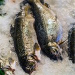E-variant, Вибір корисних продуктів харчування, Україна.