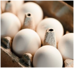 E-variant, Вибір корисних продуктів харчування, Україна.