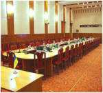 E-variant, Інформація від фахівців, Україна