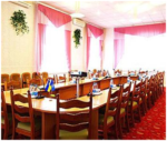 E-variant, Інформація від фахівців, Україна