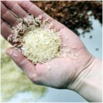 E-variant, Вибір корисних продуктів харчування, Україна.