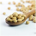 E-variant, Вибір корисних продуктів харчування, Україна.