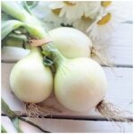 E-variant, Вибір корисних продуктів харчування, Україна.